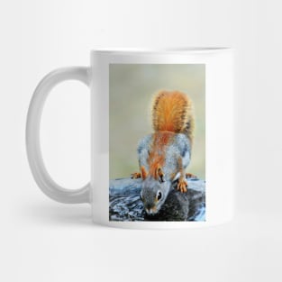 Thirsty Red Squirrel Mug